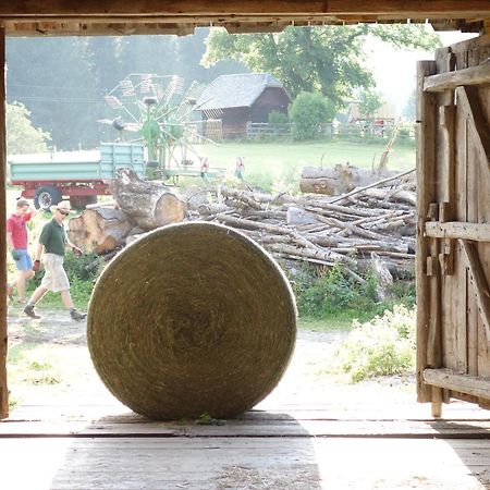 Urlaub Am Bio-Bauernhof Liebchen Villa Zeutschach Dış mekan fotoğraf