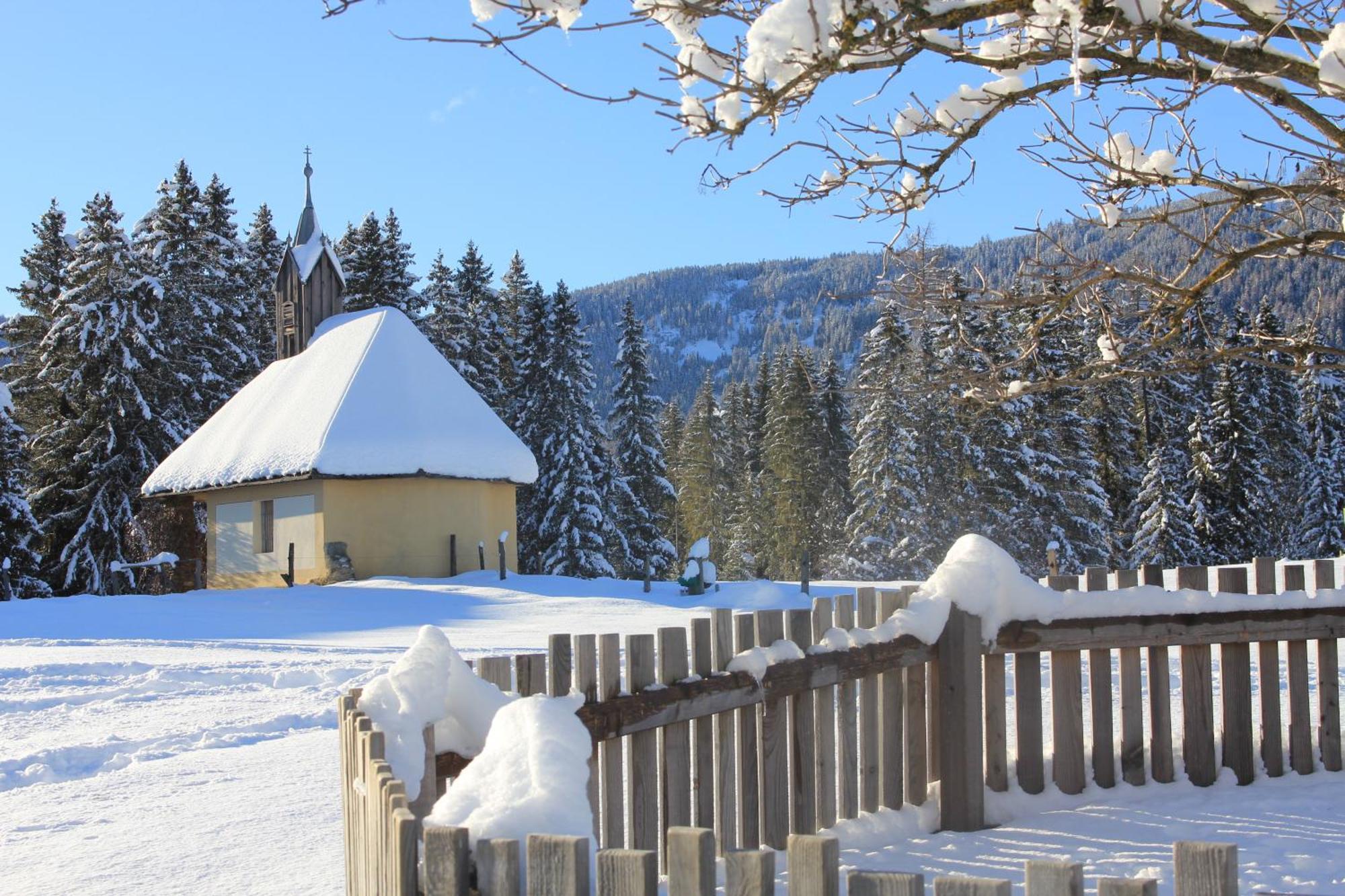 Urlaub Am Bio-Bauernhof Liebchen Villa Zeutschach Dış mekan fotoğraf