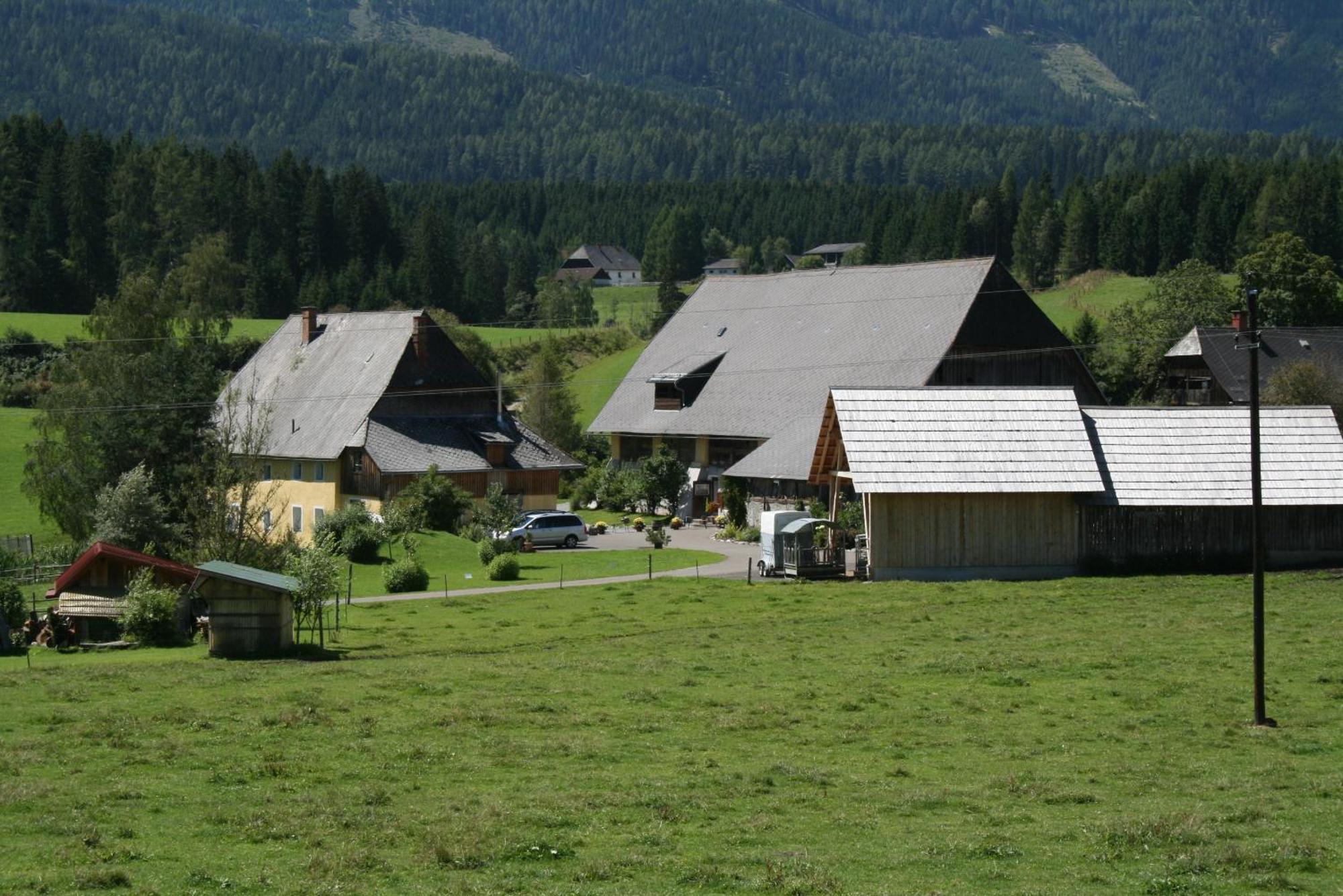 Urlaub Am Bio-Bauernhof Liebchen Villa Zeutschach Dış mekan fotoğraf