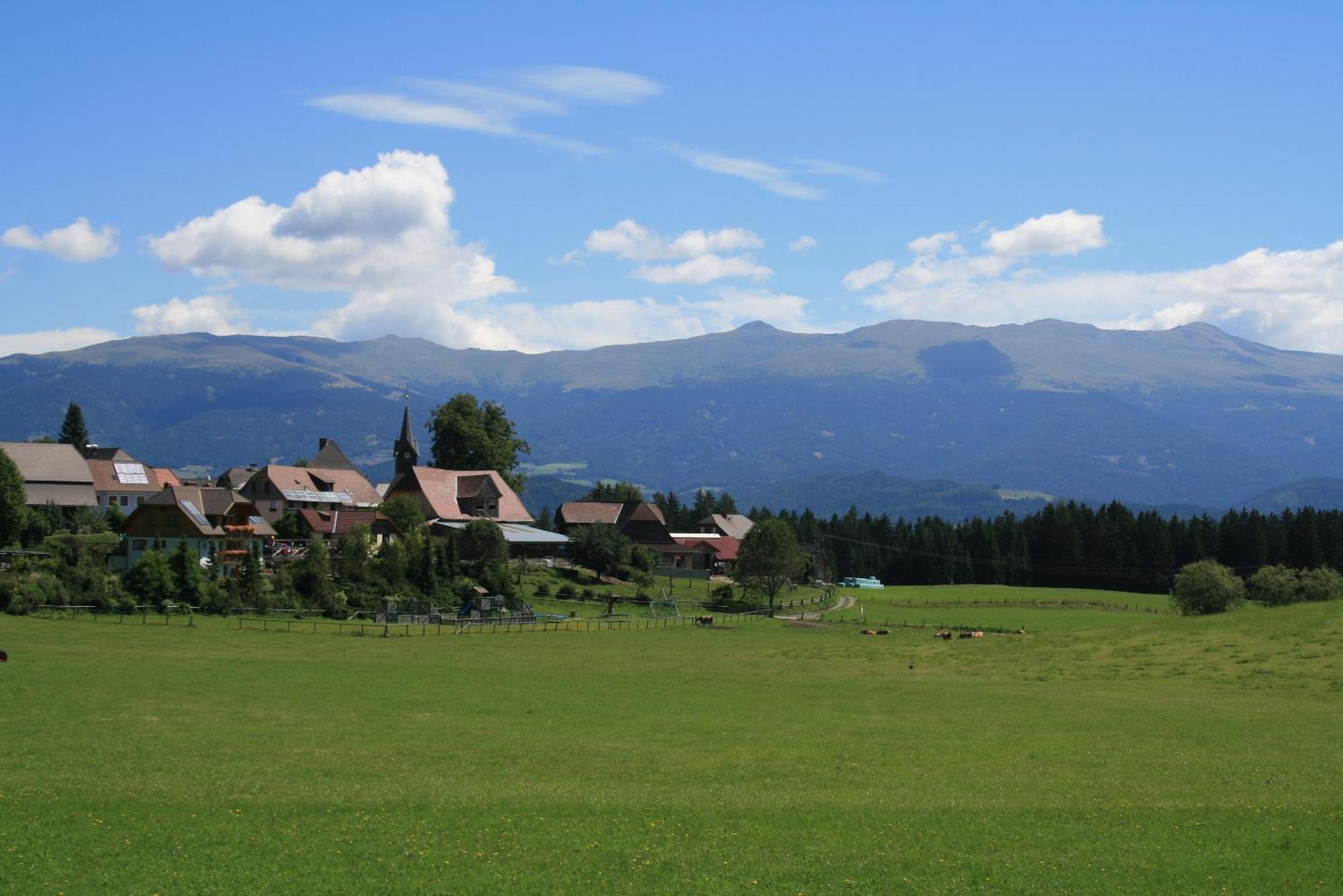 Urlaub Am Bio-Bauernhof Liebchen Villa Zeutschach Dış mekan fotoğraf
