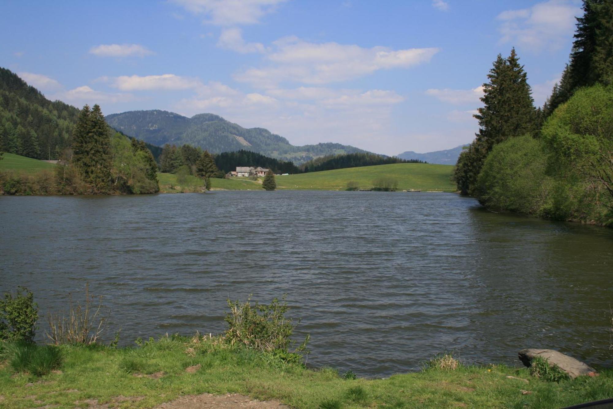 Urlaub Am Bio-Bauernhof Liebchen Villa Zeutschach Dış mekan fotoğraf