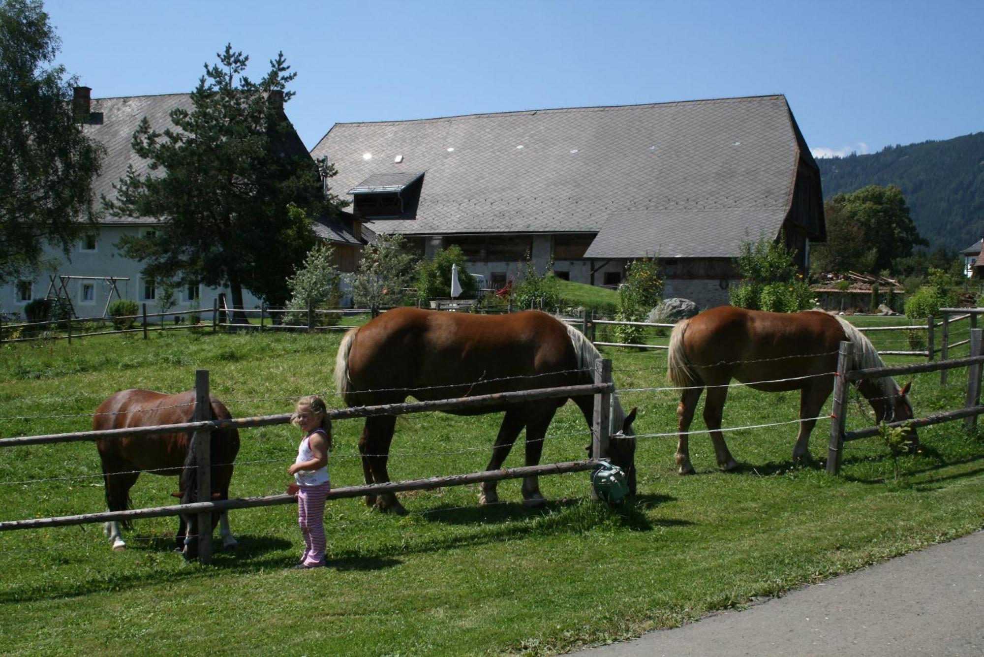 Urlaub Am Bio-Bauernhof Liebchen Villa Zeutschach Dış mekan fotoğraf